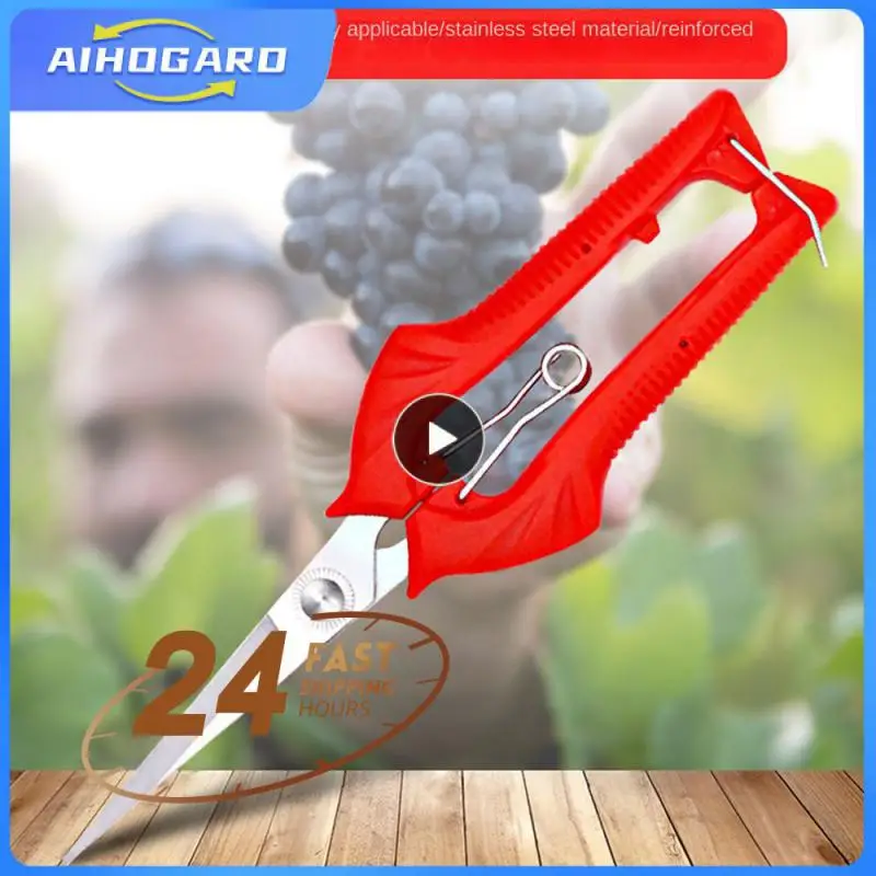 

1~10PCS Garden Pruning Shears Potted Branches Scissors Fruit Picking Small Scissors Household Hand Tools Orchard Farm Gardening