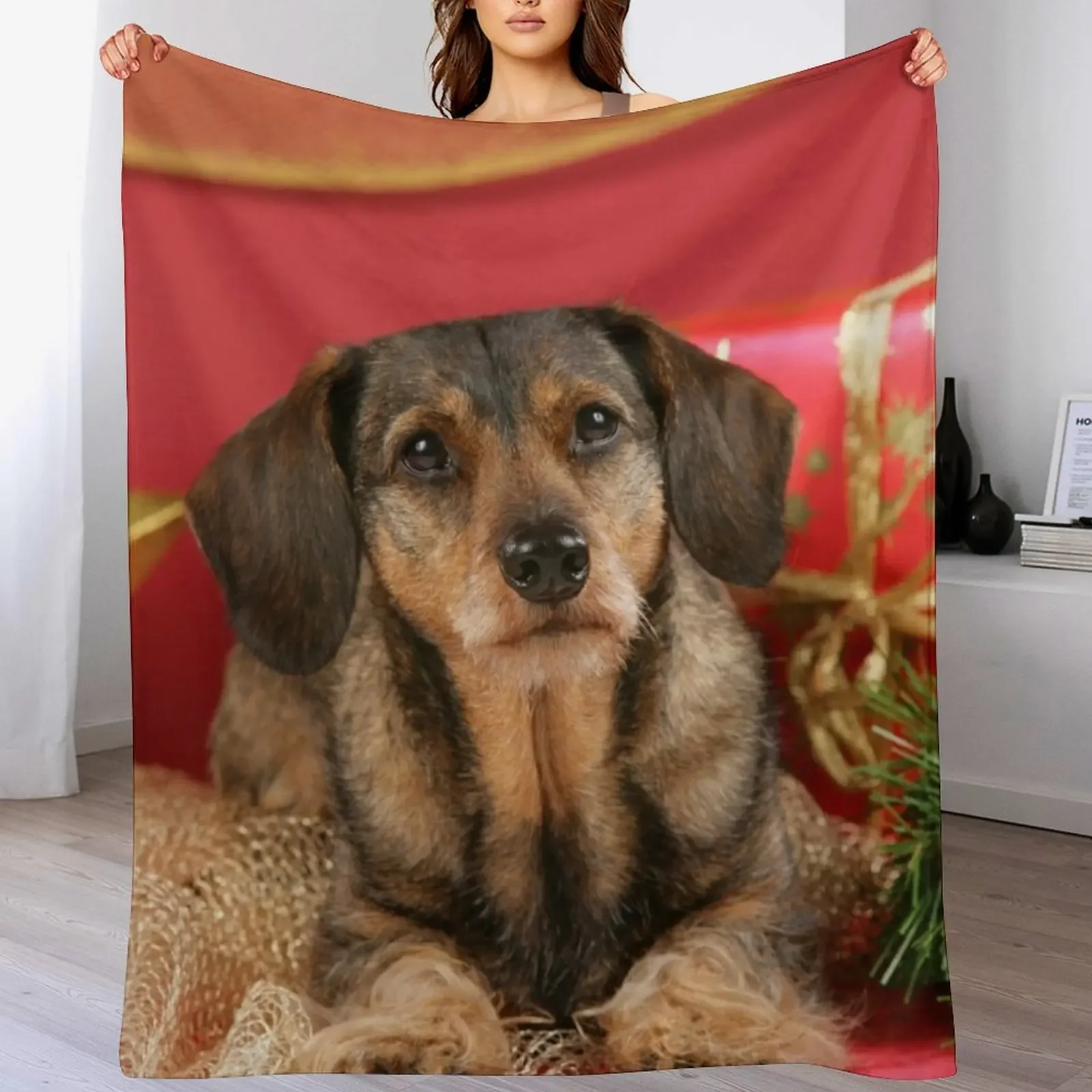 Сладкая проволочно-волосая собака-такса желает с Рождеством. Пледы и одеяла