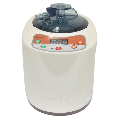 Портативный Паровая сауна Pot на 2 литра, генератор для паровых саун, домашнее спа-устройство для детоксикации тела
