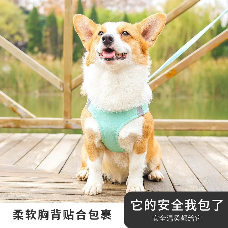 

Small puppies traction rope T Tidy vest dog than bear Bo Breast strap dog hi dog puppy rope dog chain