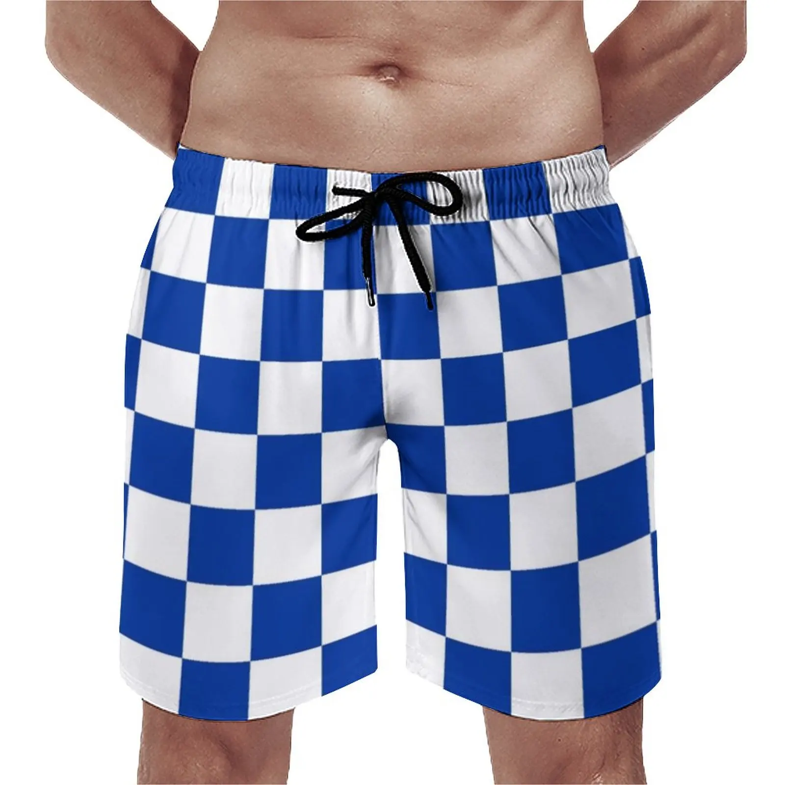 

Blue And White Checkerboard Board Shorts Vintage Checker Print Beach Shorts Drawstring Pattern Design Swim Trunks Plus Size 3XL