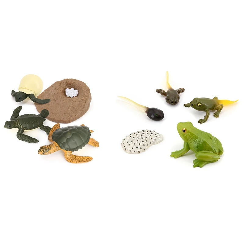 

9 PCS Frog, Sea Turtle Growth Stage Model,Early Education Animal Figures Action Figures Educational Kids Toys