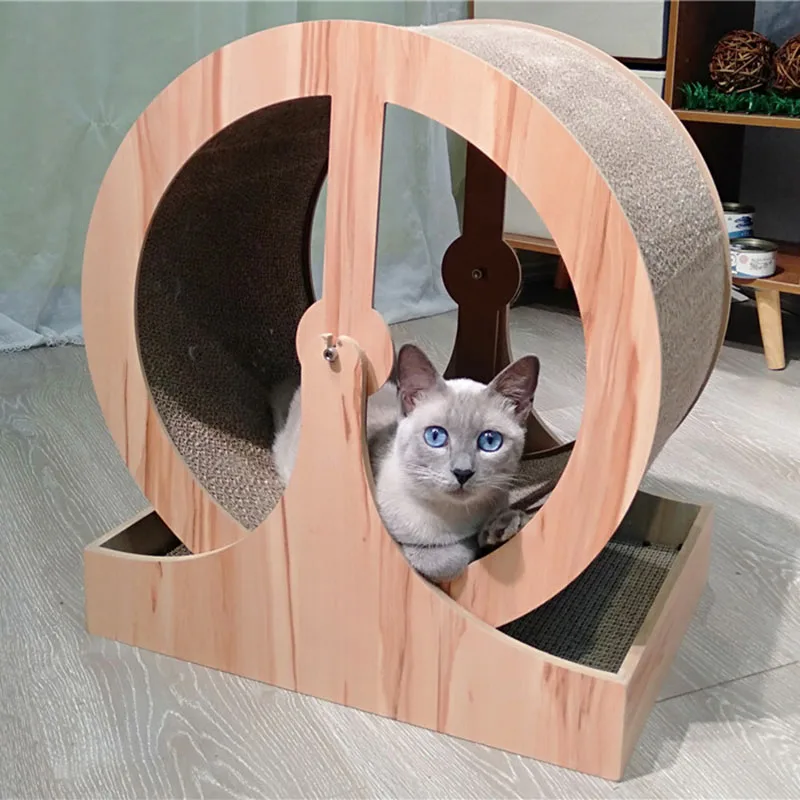 

Exercise Wheel for Cats, Climbing Tunnel Toys, Interactive Toy Tracks, Cat Scratcher, Tree Scratching Games, Park Kittens Goods