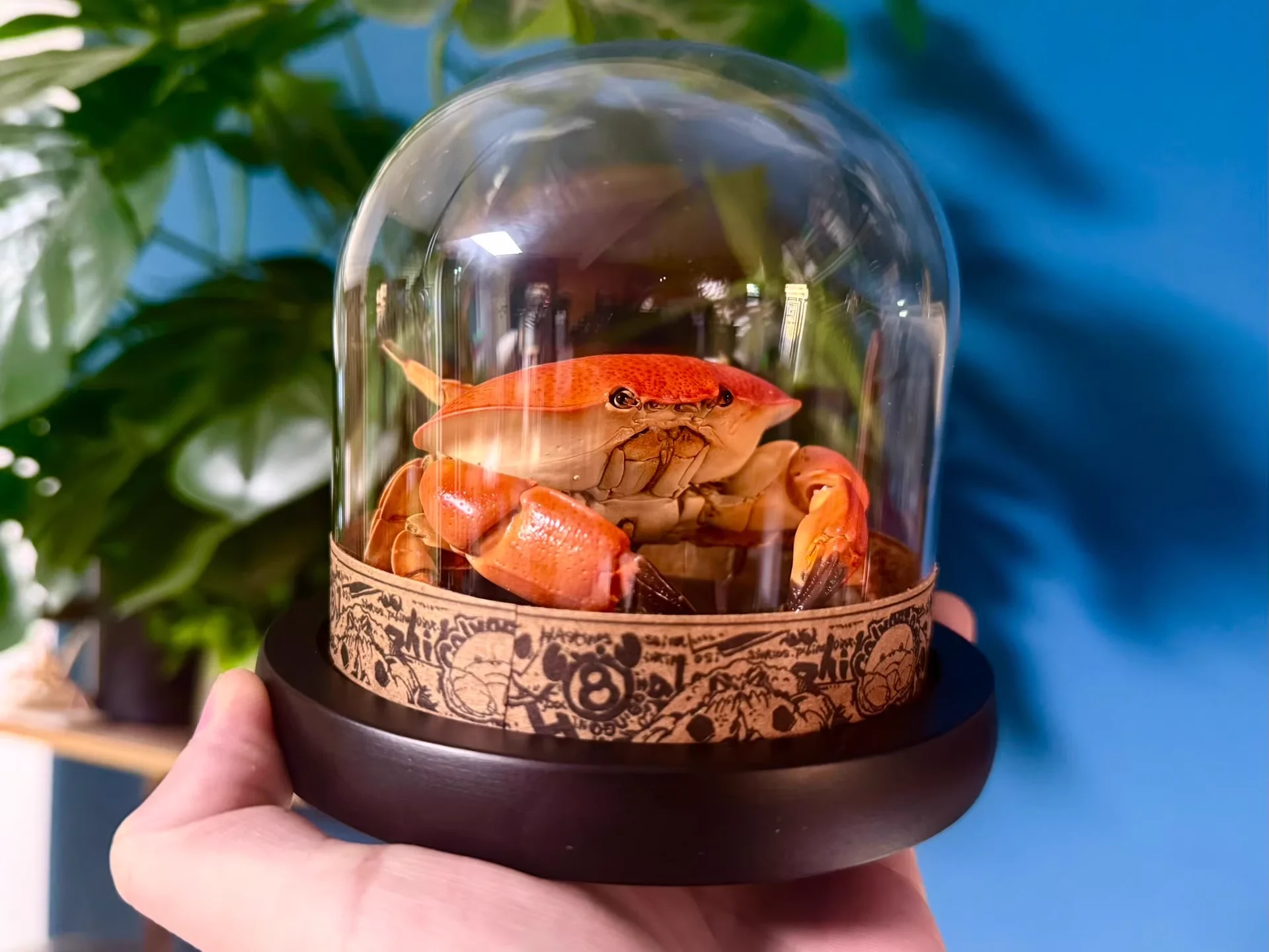 

Статуэтка краба Atergatis Integerrimus