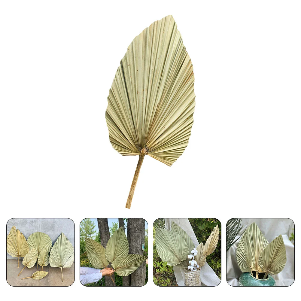 

Palm Dried Leaves Decor Leaf Fan Bohodry Tropical Wedding Fronds Preserved Palms Palmetto Fake Artificial Natural Hand