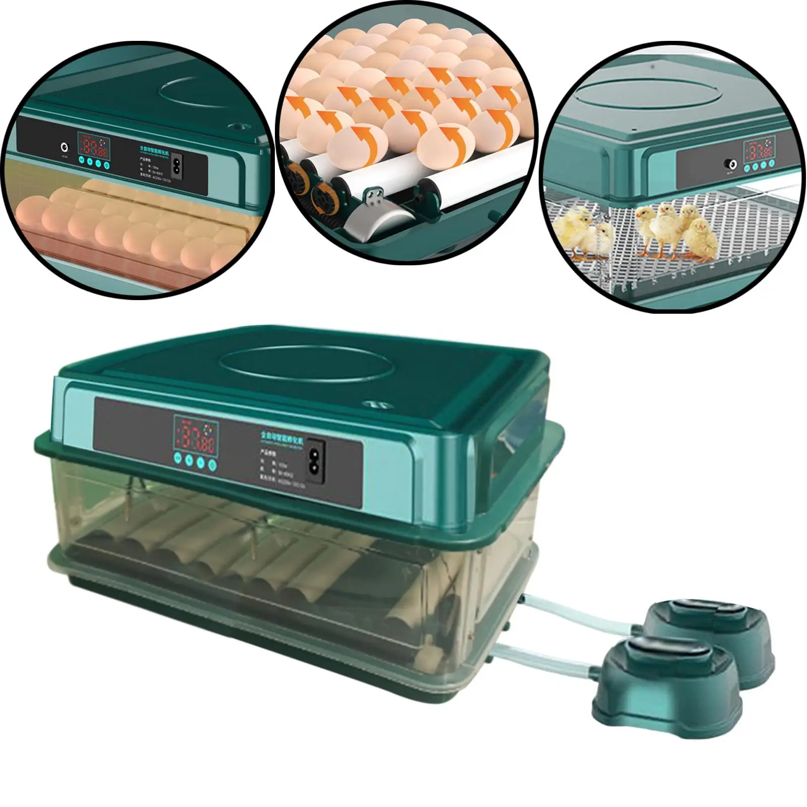 

Automatic Poultry Hatcher Desk Detachable Tray Hatching Machine Digital Egg Incubator Auto Water Replenishment for Quail Pigeon