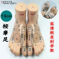 high definition foot acupoint model map soft foot mold lettering foot mold 19cm foot reflex zone massage foot massage