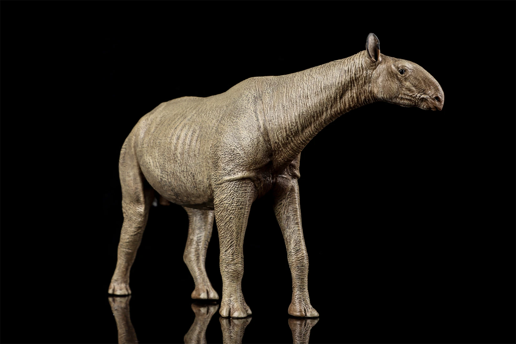 Фото Фигурка Eofauna Paraceratherium Grangeri в масштабе 1:35, из семейства Paraceratheriidae, гигантский прародинозавр, коллекционная модель для декорации сцен №2