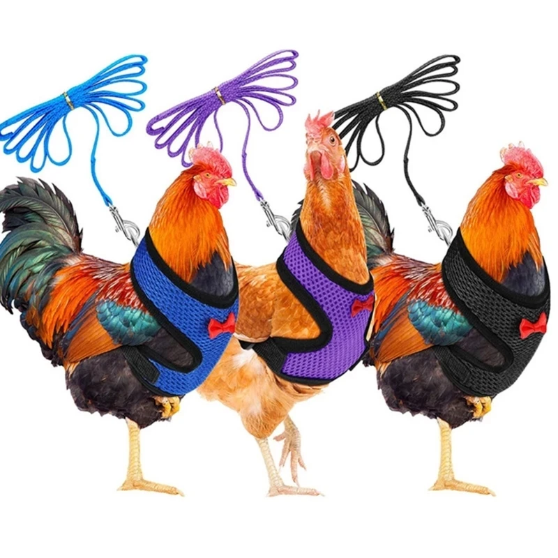 Fashion Chicken Duck Vest Hen Belt Pet Harness Matching Collars Bow Comfortable Leads Breathable Poultry Supplies
