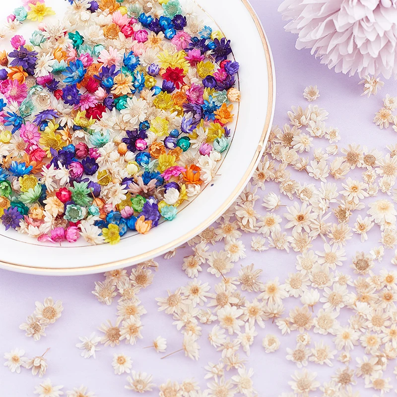 

100/200PCS Real Dried Flowers Brazil Little Star Flower For DIY Art Craft Epoxy Resin Candle Making Jewellery