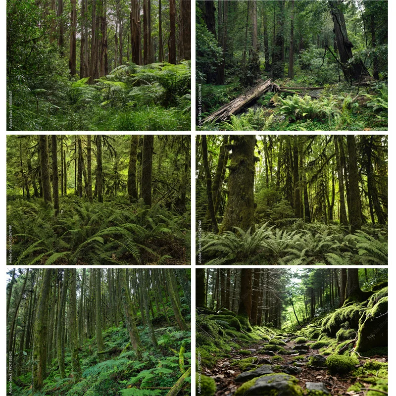 Мох покрытый опалыми деревьями зеленого хвойного леса фон для фотосъемки