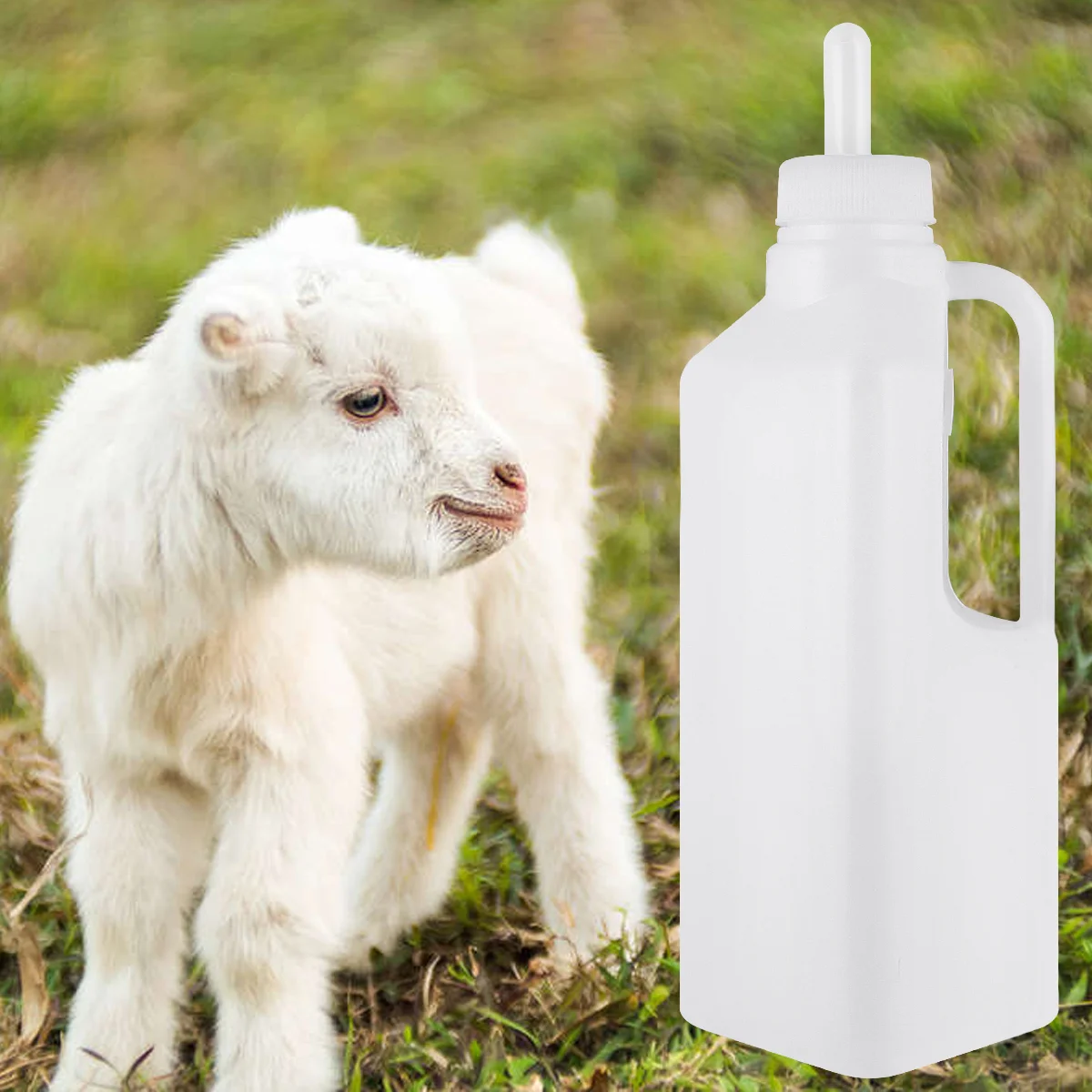 

1 Set Calf Feeding Bucket Nursing Bottles Lamb Nursing Bottle Lamb Feeding Bottle Lamb Feeding Bottle
