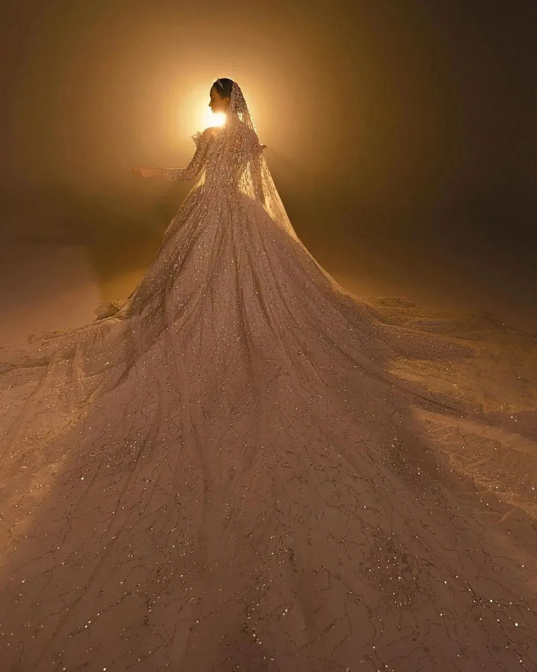 Бальное платье принцессы свадебные платья милое свадебное с длинными рукавами и