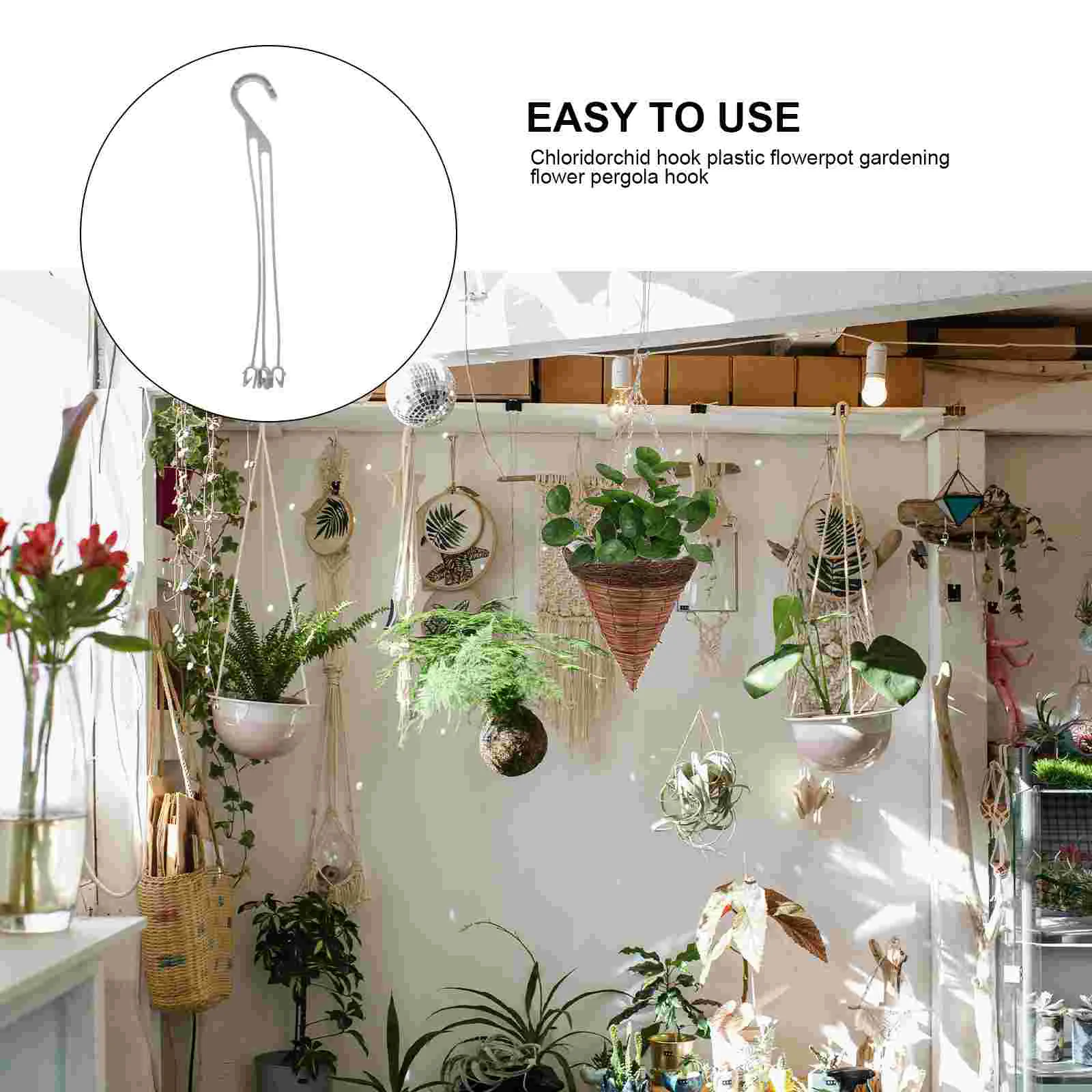 50 шт. подвесные кормушки для белки