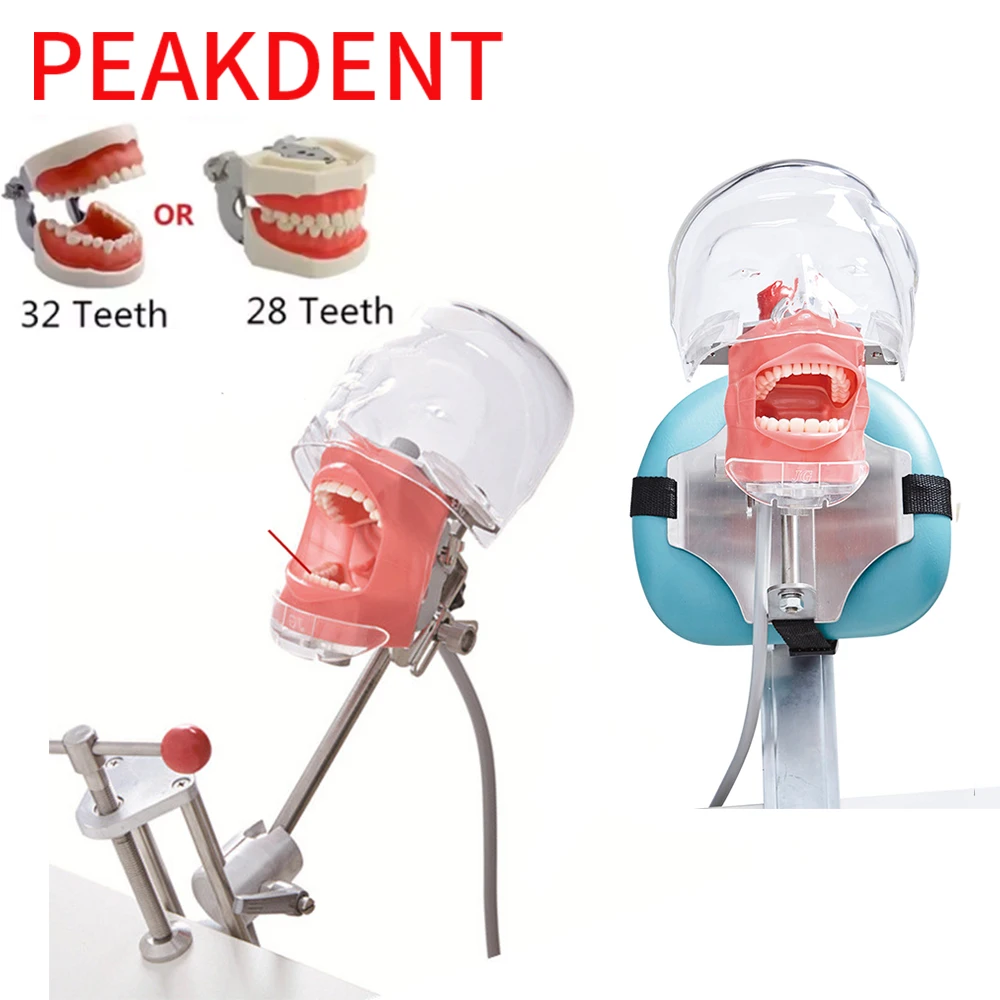 Обучающий симулятор для обучения стоматологии простая модель головы