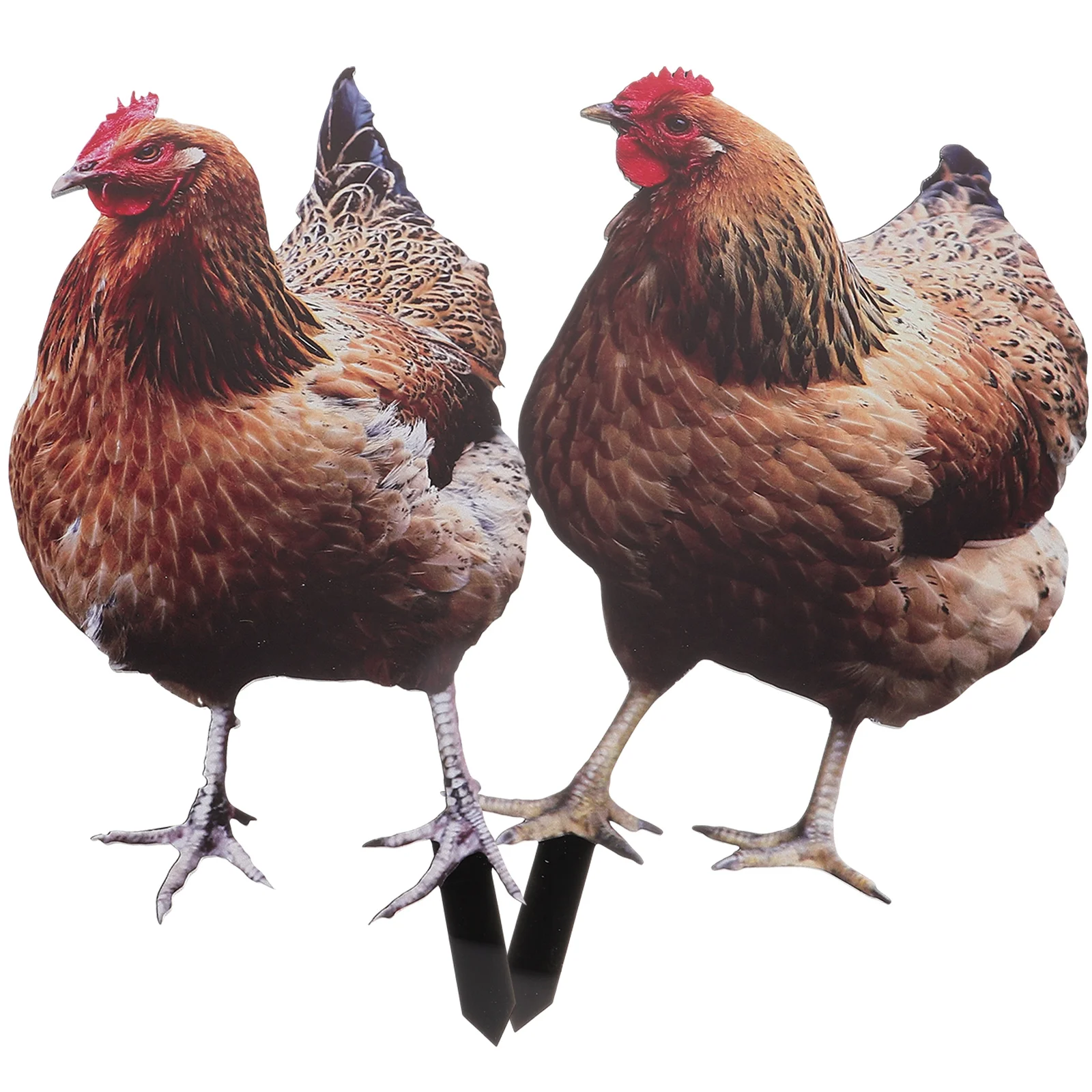 

Welcome Sign Lawn Ornament Outdoor Adornment Stake Backyard Hen Insert Garden Chicken Black Metal