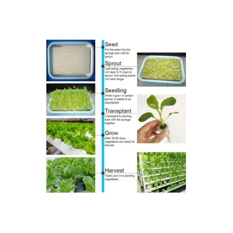 Комплект для выращивания труб с 108 отверстиями NFT коробка посадки в теплице