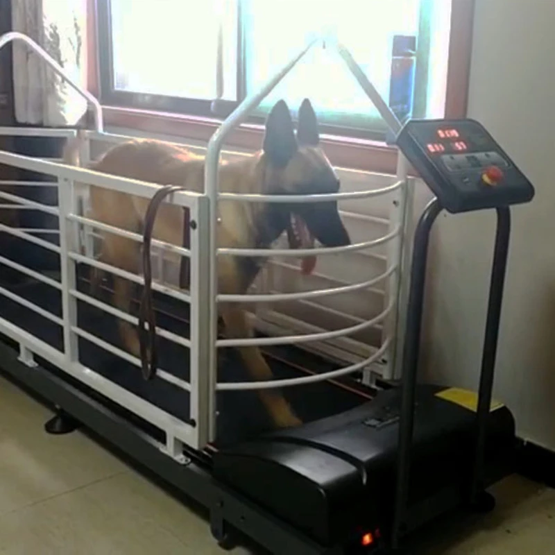 Беговая дорожка Doberman Pinscher беговая золотистого ретривера Border Collie небольшая с
