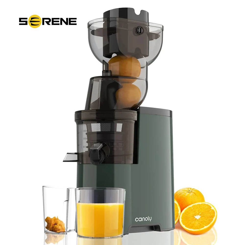 

Masticating Juicer, 250W Professional Slow Juicer with 3.5-inch (88mm) Large Feed Chute for Nutrient Fruits