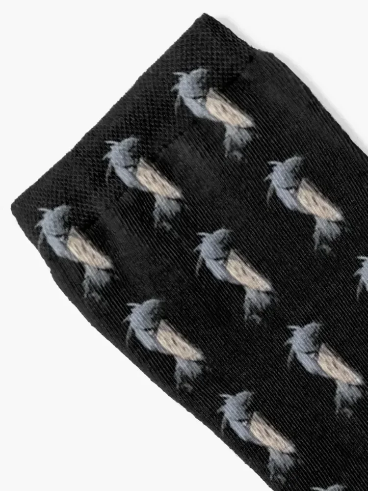 Носки с дизайном человеческого костюма Shoebill и принтом Аргентинские носки для