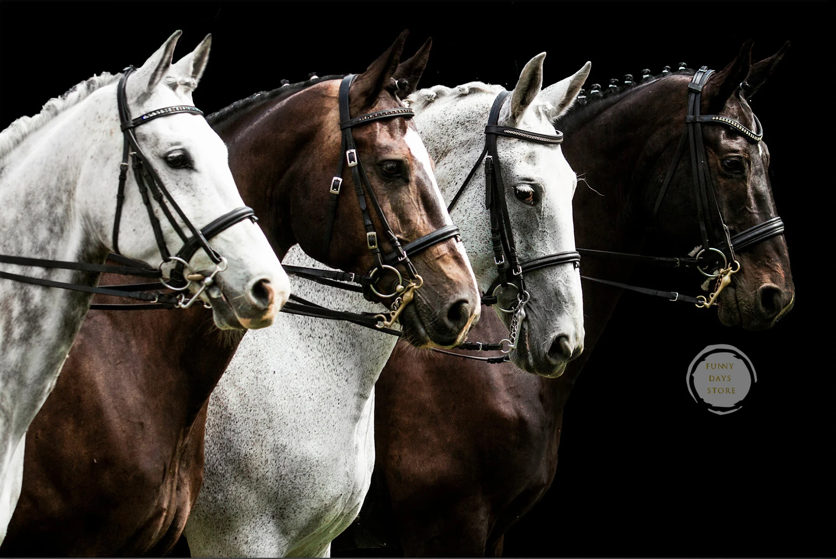 Абстрактная картина с лошадьми на холсте джоджо мойес танцующая с лошадьми