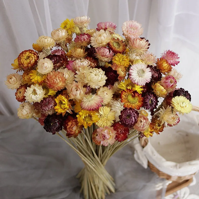 

Rose Daisies Dried Natural Real Flower Air-Dried Bouquet At Home Tabletop Decoration Floral Arrangement