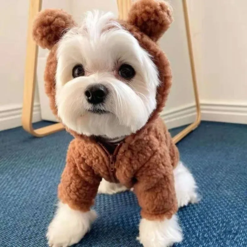 Пальто с капюшоном и маленьким медведем милая плюшевая одежда для домашних