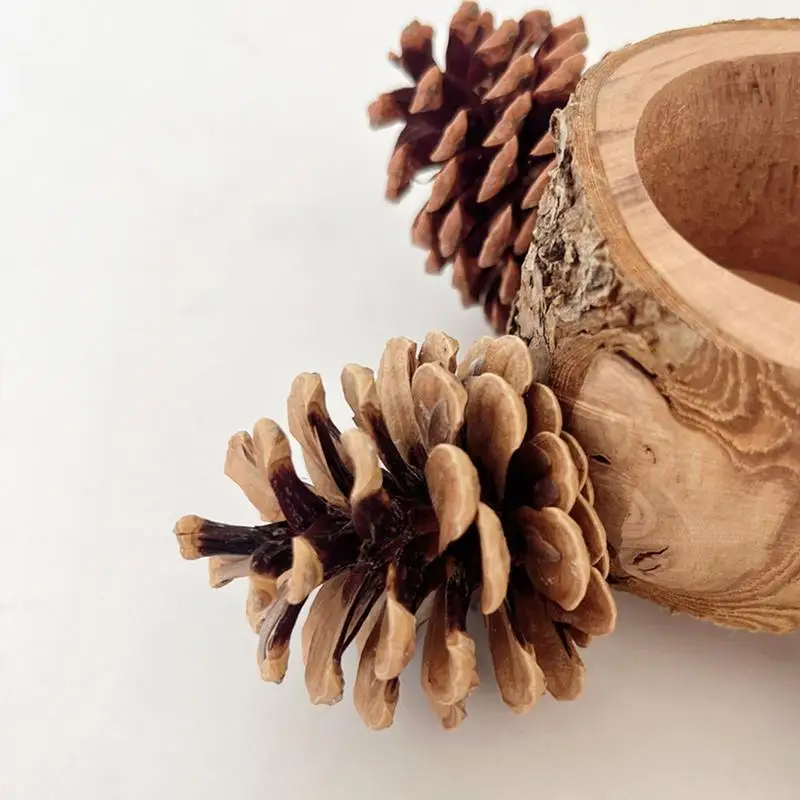 Птичий окунь с миской клетка кормушка для попугаев миска еды воды корелла конусы