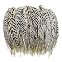 10pcslot natural silver pheasant feathers for decoration 16 22cm decor white feather wedding jewelry handicrafts accessories