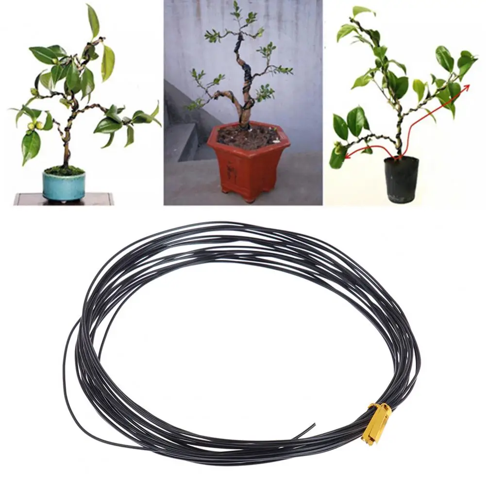 

Reusable Black Flexible for Balcony Convenient Rustproof 6 Sizes 1 Roll 5m Bonsai Wire Bendable Storage Plant Shape Bonsai Branc