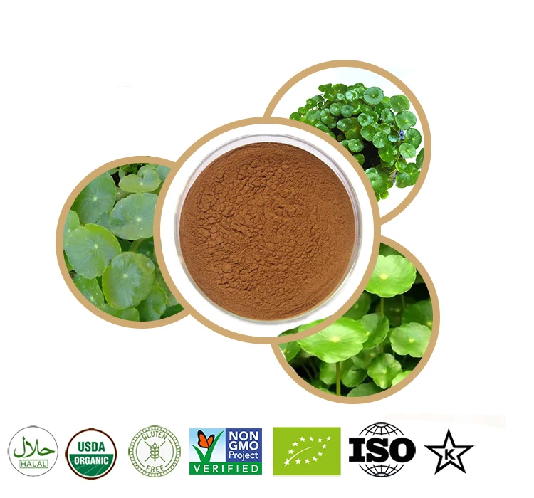 100 -1000g gotu Kola / polvo de Centella азиатская 20: 1 reконструкция кожи antienvejecimiento заготовка