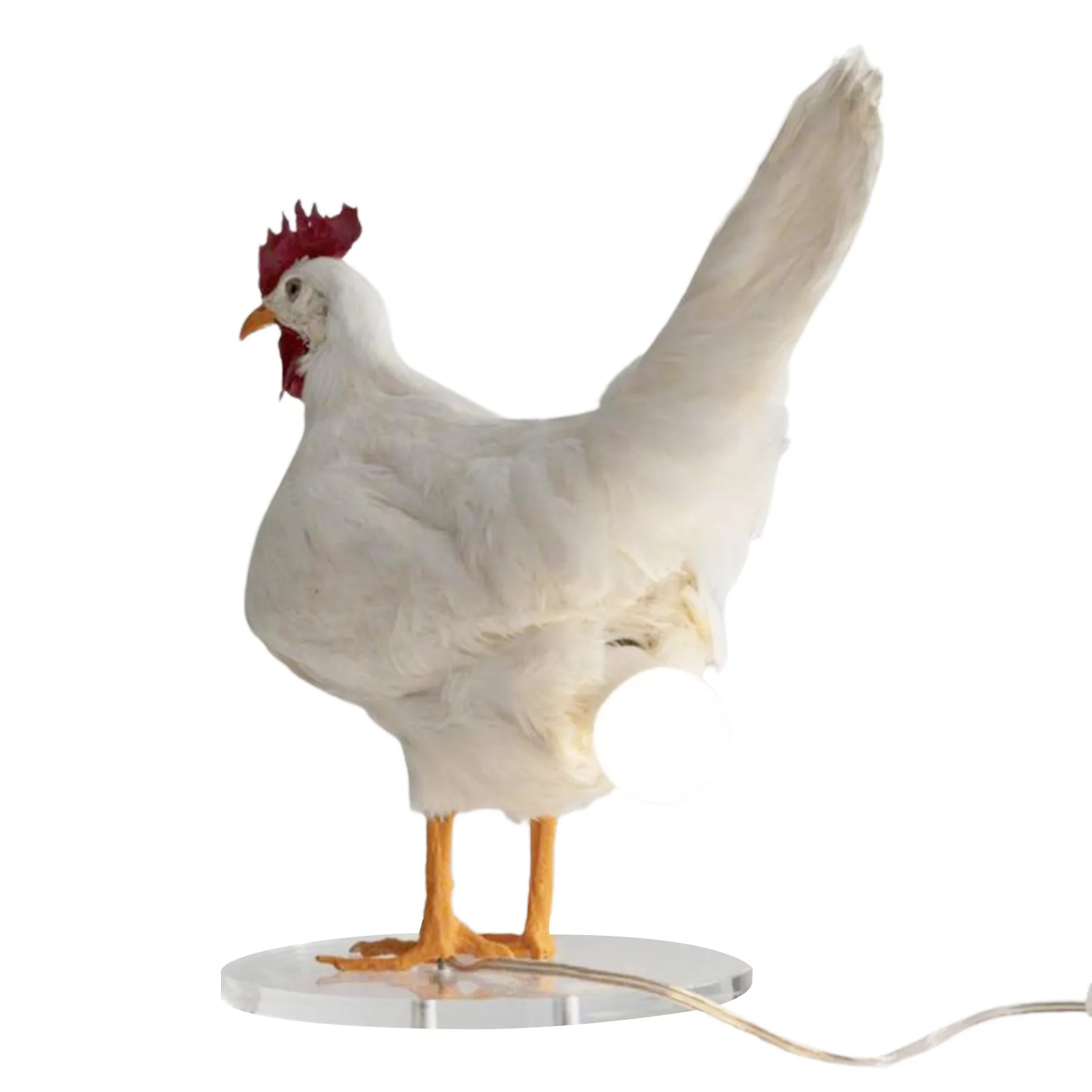 

Chicken Egg Table Lamp Resin Rooster Table Lamp Realistic Taxidermy Look Chicken Egg LED Lamp For Bedroom Living Room Decor