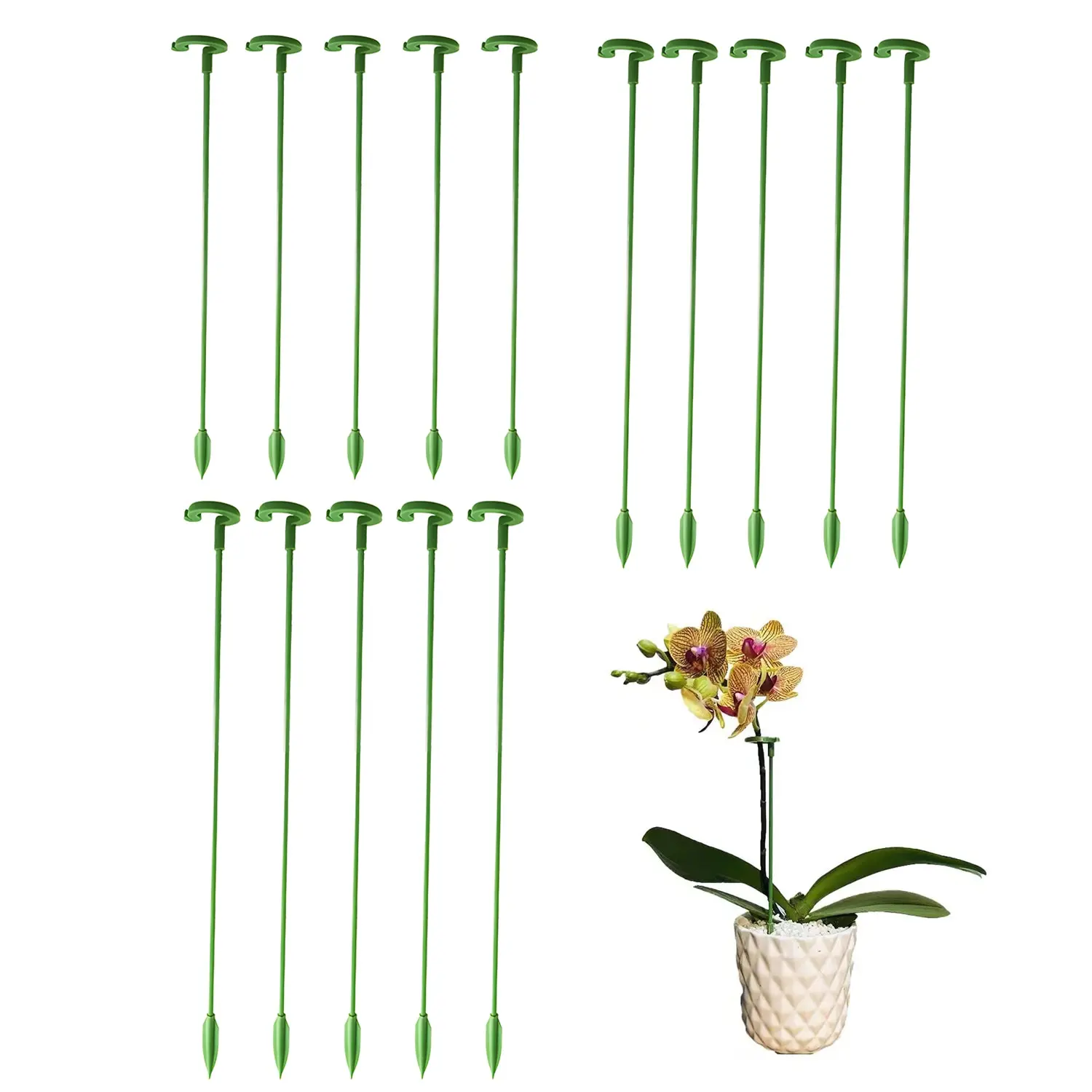 Plant Support Stakes Garden Single Stem Flower Support Stake Amaryllis Plant Cage Support Plastic Flower Stand