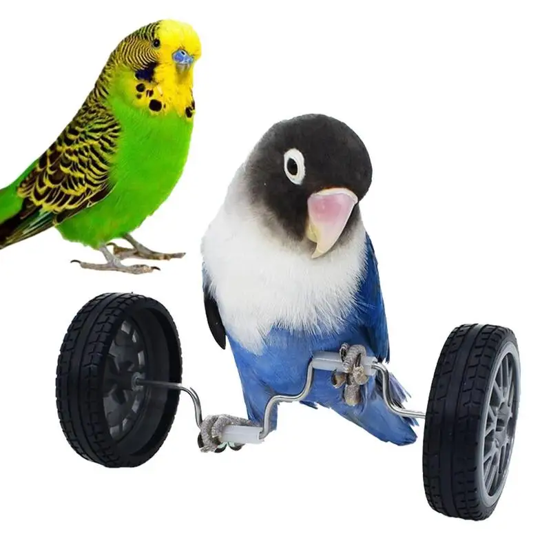 

Cockatiel Toys Bird Training Toys Trick Prop Toy Balance Car Bird Intelligence Training Toy All Purpose Safe For Long Tailed