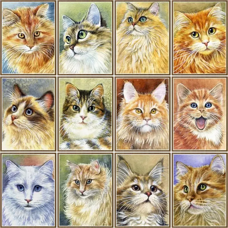 

CHENISTORY Oil Painting By Number Cat Animal Kits Home Decor Pictures By Number Drawing On Canvas Handpainted Art Diy Gift