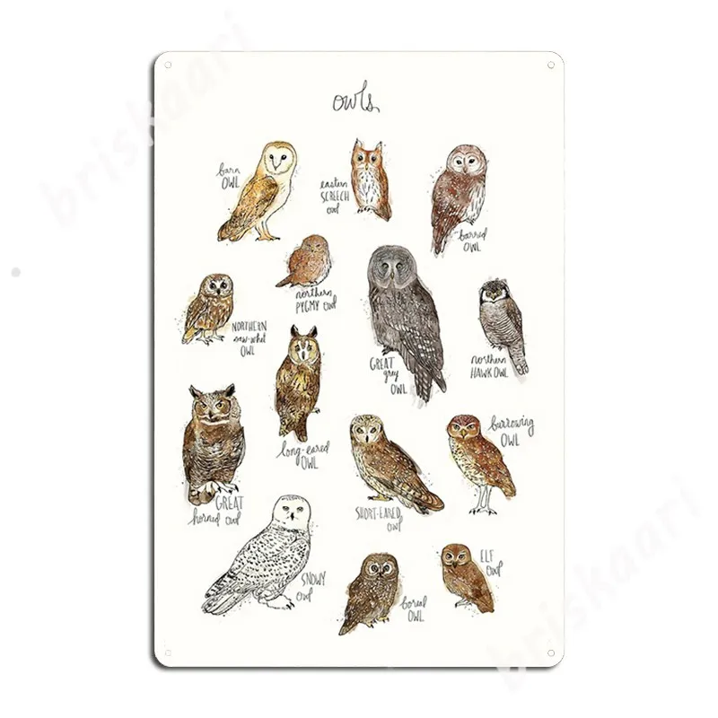 

Owls Metal Signs Mural Painting Designing Club Party pub Garage Tin sign Posters