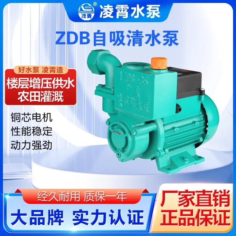 Горячая новинка 2026: Самовсасывающий насос 1DB-65B 1ZDB-45B Guangdong Lingxiao для ирригации, насос для колодцев, автомобильный насос (art.: 3920db7dc9565) - 3920db7dc9565