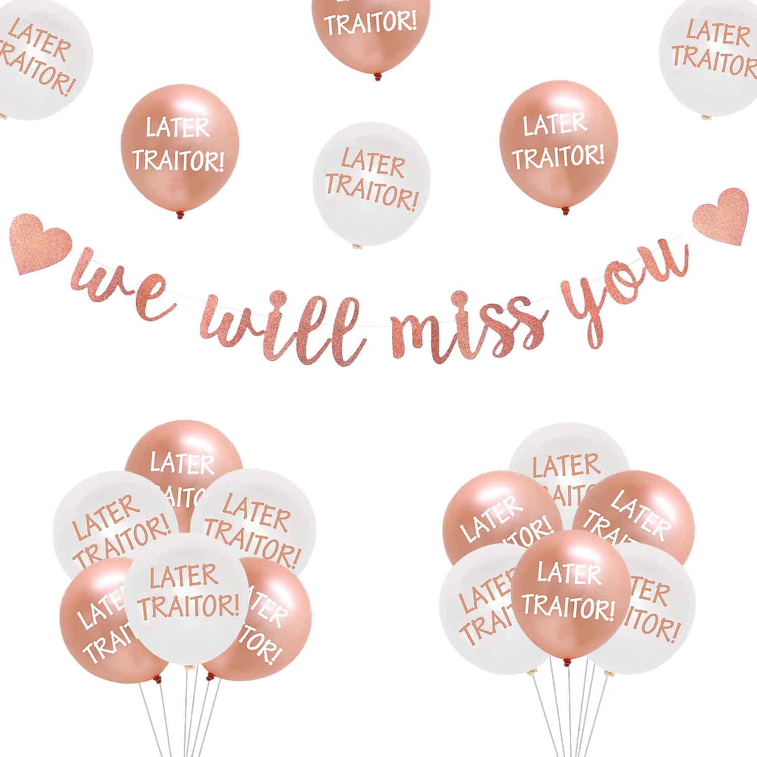 

Funmemoir Retirement Farewell Party Decorations We Will Miss You Banner Later Traitor Balloons for Women Farewell Party Supplies