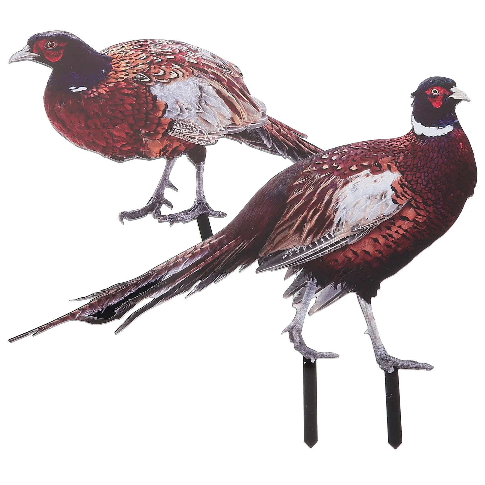 

2 Pcs Pheasant Garden Decoration Ornament Outdoor Signs Yards Decorative Acrylic Stake Lawn Adornment Insert Card