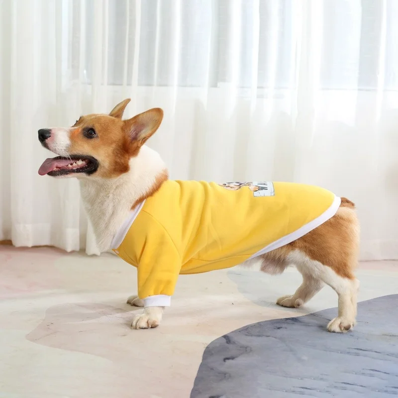 

Winter Dog Sweater, Pet Clothes,Yellow Jacket, Suitable for Small and Medium Pets Breathable Fleece Keep Warm, French Bull Teddy