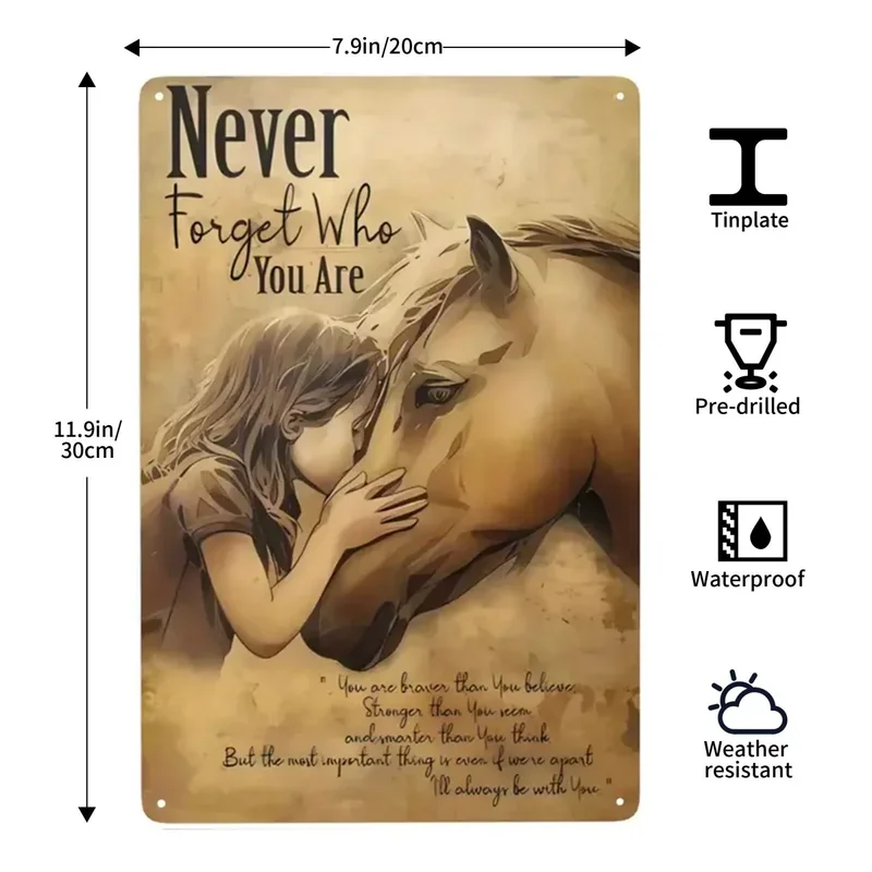 Винтажный ковбойский металлический жестяной знак девушка с лошадью она жила