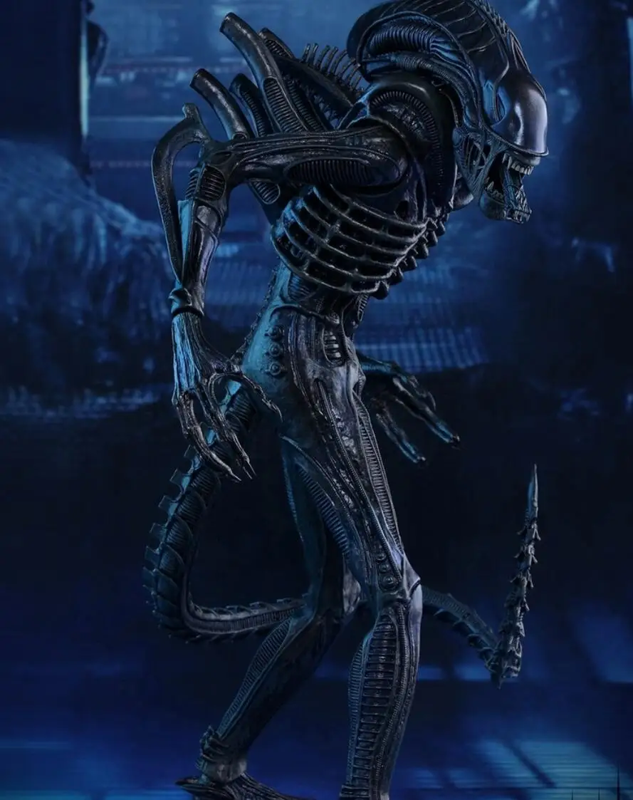 

HT hottoys Hot Toys MMS354 MMS-354 1/6 Collectible Action Figure Toy Doll Model Body In stock
