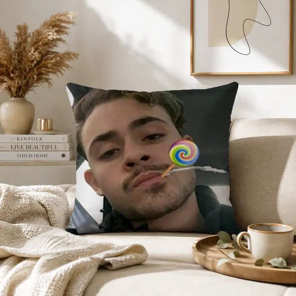 Фото Наволочка Dacre Montgomery с принтом, наволочка для дивана в гостиной, чехол для подушки №3