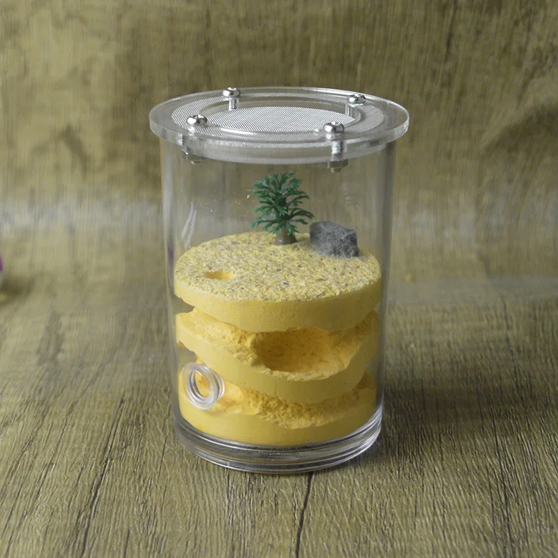 

Акриловая Обложка гипсовая муравьиная ферма, Муравьиное поведение, Муравьиное гнездо, обучающий замок, мастерская для дома