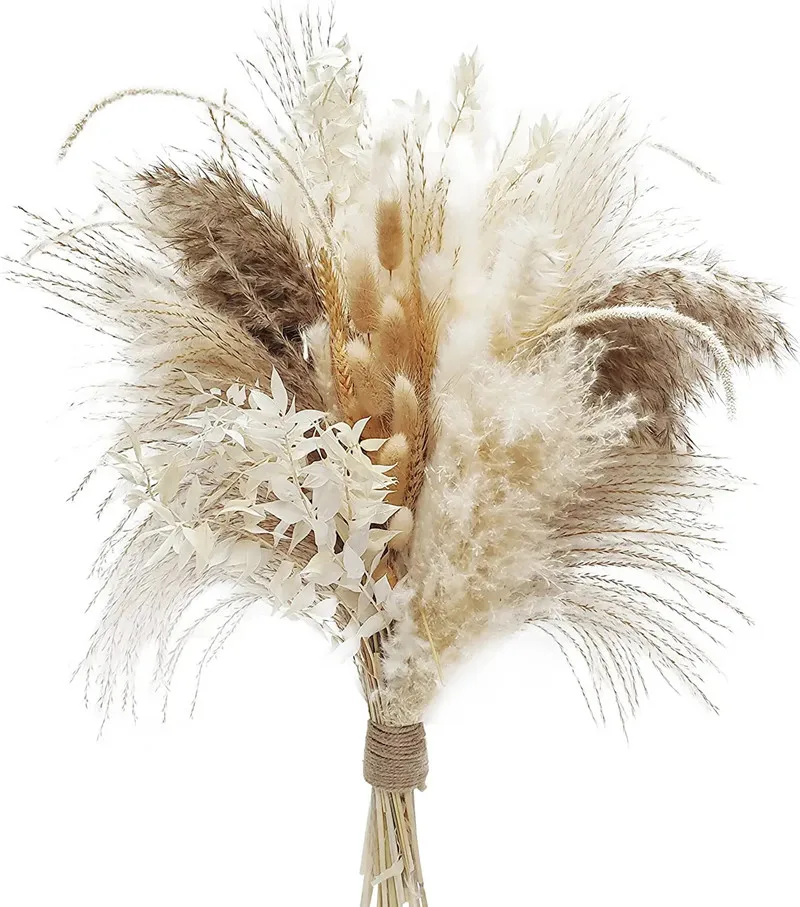 

80pcs Natural Dried Pampas Grass Bouquet Boho Home Nordic Decor Bouquet Phragmites Dried Flowers Bouquet Wedding Decor