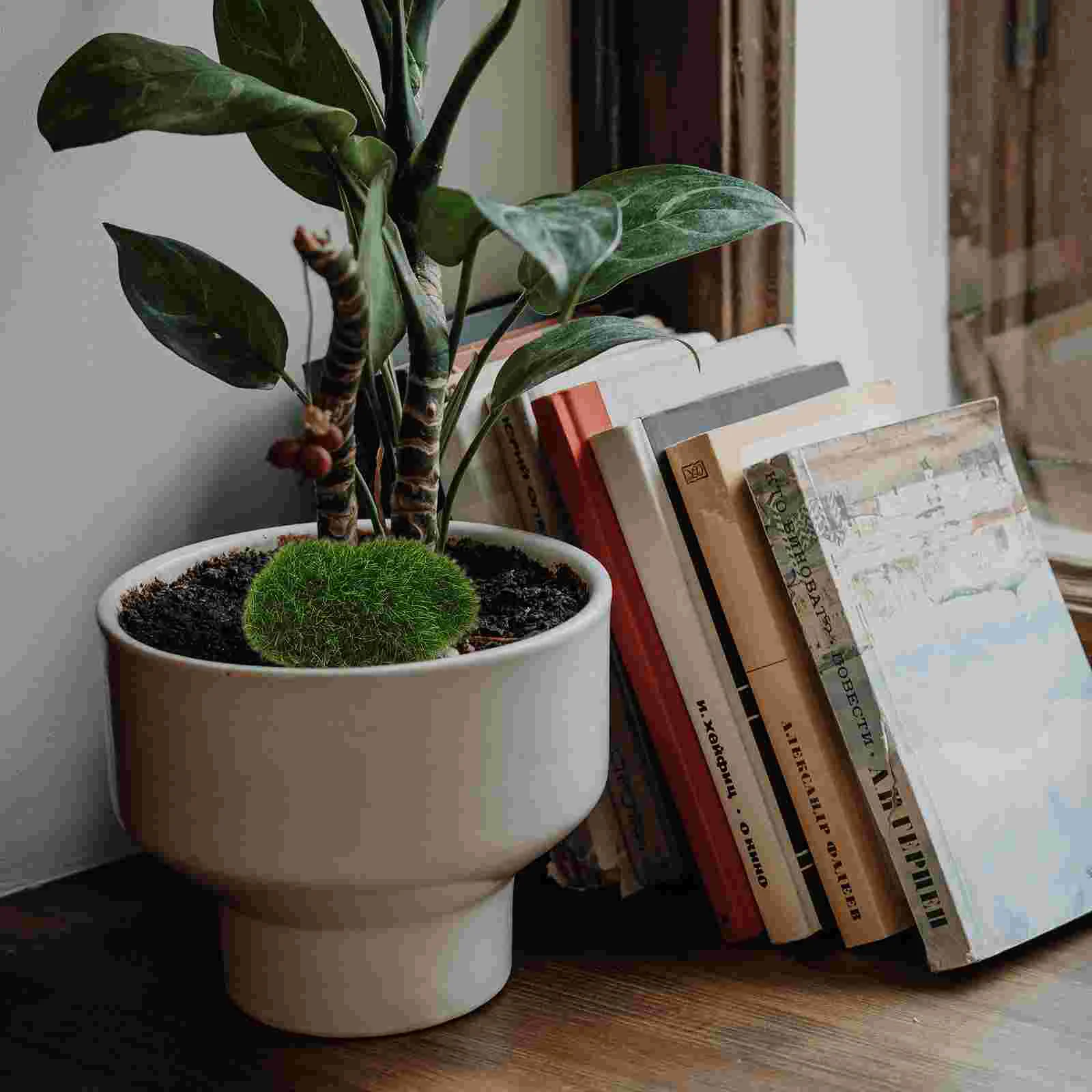 6 шт. реквизит из искусственного камня мха имитация мохового сочного горшка