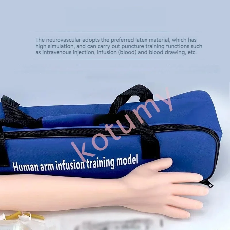 Реалистичный анатомический флеботомический тренажер для тренировок в области
