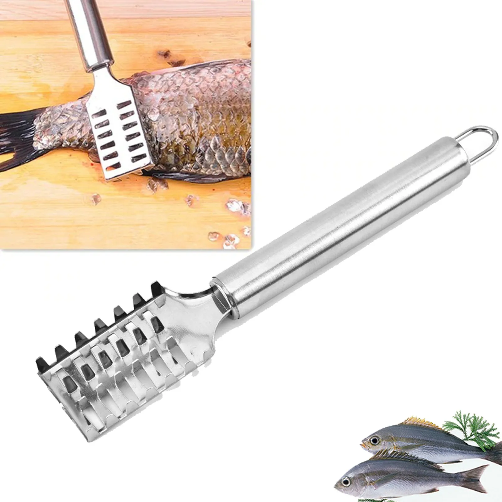 

Efficient Fish Scales Scraping Stainless Scaler For Fish Cleaning Tools Fish Skin Brush Scraping Scale Peeler Fish Scale Remover