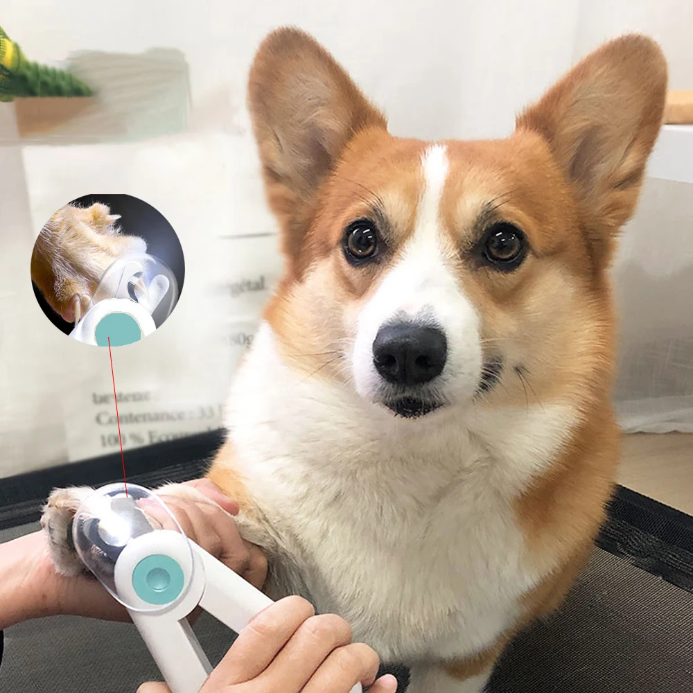 

Машинка для стрижки когтей домашних животных, светодиодный ная подсветка, для когтей, собак, ножницы для маникюра с защитой от крови