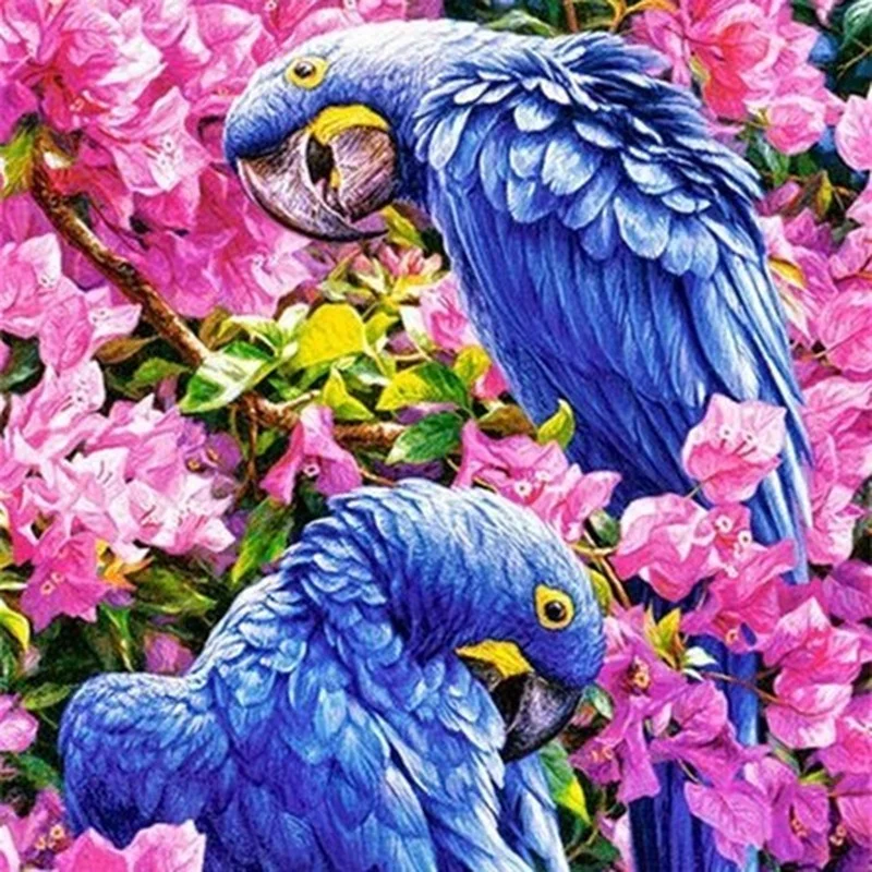 

Алмазная живопись, животные, попугай, 5d, мозаика «сделай сам», полностью квадратная, круглая, сверло, Алмаз Стразы, алмазная вышивка, картины